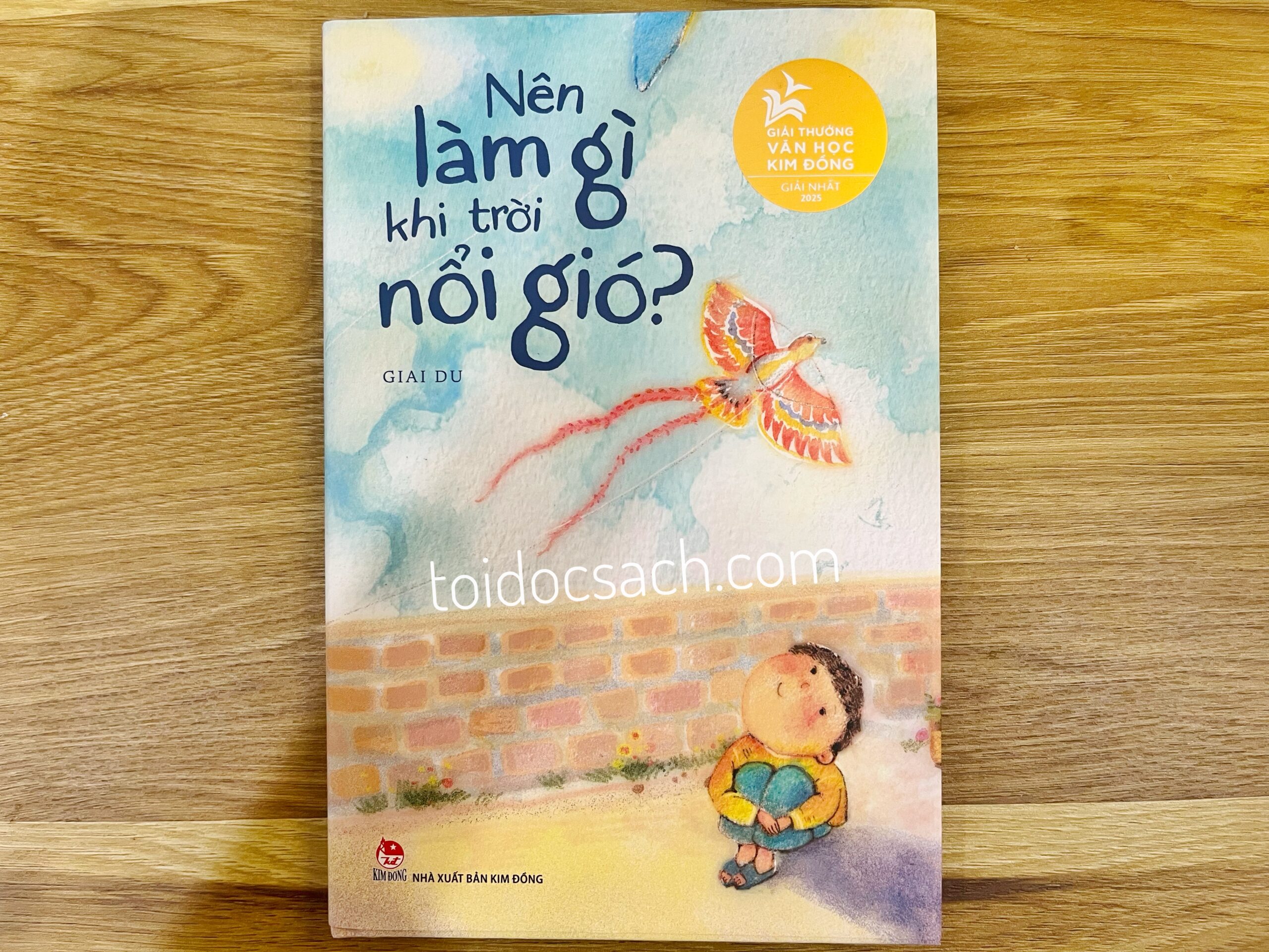 Review sách Nên làm gì khi trời nổi gió của tác giả Giai Du